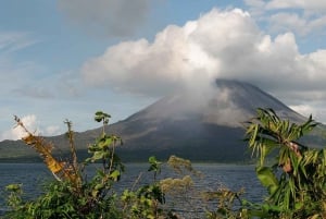 La Fortuna: Arenalin tulivuoren kansallispuisto Paras opastettu kävelykierros.
