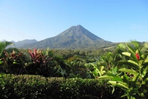 La Fortuna: Arenal Volcano National Park Bästa guidade vandring