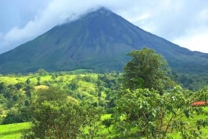 La Fortuna: Arenal Volcano National Park Beste wandeling met gids