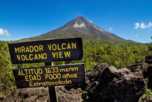 La Fortuna: Arenal Volcano One Day Tour