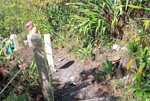 La Fortuna: Excursión al Parque del Volcán Arenal