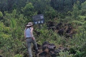 La Fortuna: Excursão ao Parque do Vulcão Arenal