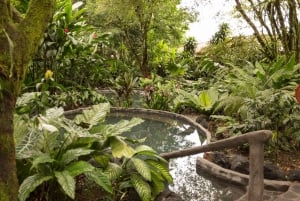 La fortuna: Kombinationspaket ATV+ Hots prings+ Spamassage