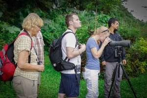 La Fortuna: esperienza di birdwatching