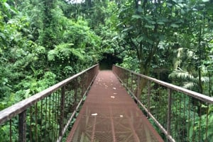 La Fortuna: Bird Watching Tour at Natura Park