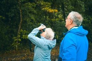 Observation des oiseaux à La Fortuna avec un guide naturaliste