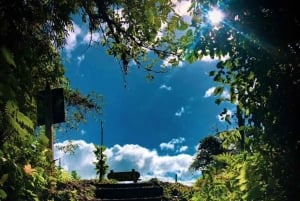 La Fortuna: Opastettu retki sinisille vesiputouksille