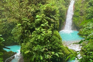 ラ・フォルトゥナ：ブルーフォールズへのシャトルと自由時間