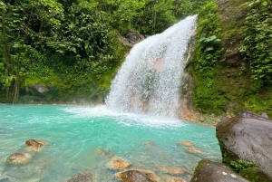 ラ・フォルトゥナ：ブルーフォールズへのシャトルと自由時間