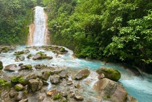 ラ・フォルトゥナ：ブルーフォールズへのシャトルと自由時間