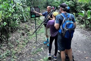 La Fortuna: Bogarin Trail dovendyr-observasjonstur med guide