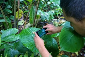 La Fortuna: Visita guiada a borboletas, pássaros, preguiças e trilhas