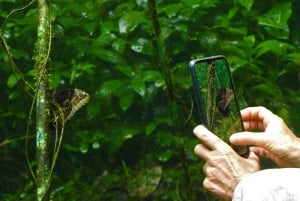 La Fortuna: Sommerfugle, fugle, dovendyr og stier Guidet tur