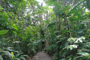 La Fortuna:Butterflies, birds, sloths and Trails Guided Tour