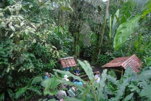 La Fortuna:Butterflies, birds, sloths and Trails Guided Tour