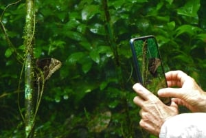 La Fortuna:Butterflies, birds, sloths and Trails Guided Tour