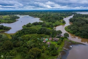 La Fortuna: Caño Negro viltreservat Costa Rica båttur