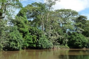 La Fortuna: Caño Negro viltreservat Costa Rica båttur