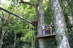 La Fortuna: Canopy Tour & Tarzan Swing