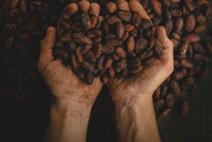 La Fortuna: Chocolate-Making Experience with Tastings