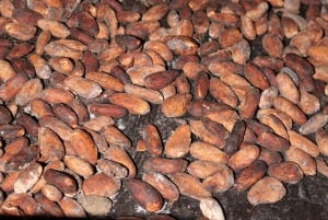 La Fortuna: Experiência de fabrico de chocolate com provas