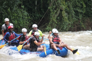 La Fortuna: Costa Rica Rafting Klasse II-III_Adrenalin pur