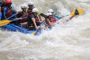 La Fortuna: Costa Rica forsränning klass II-III_Pure Adrenaline