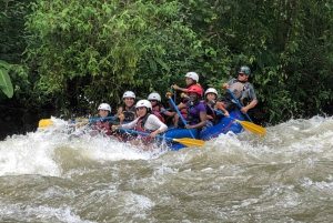 La Fortuna : Costa Rica Rafting classe II-III_Pure Adrenaline