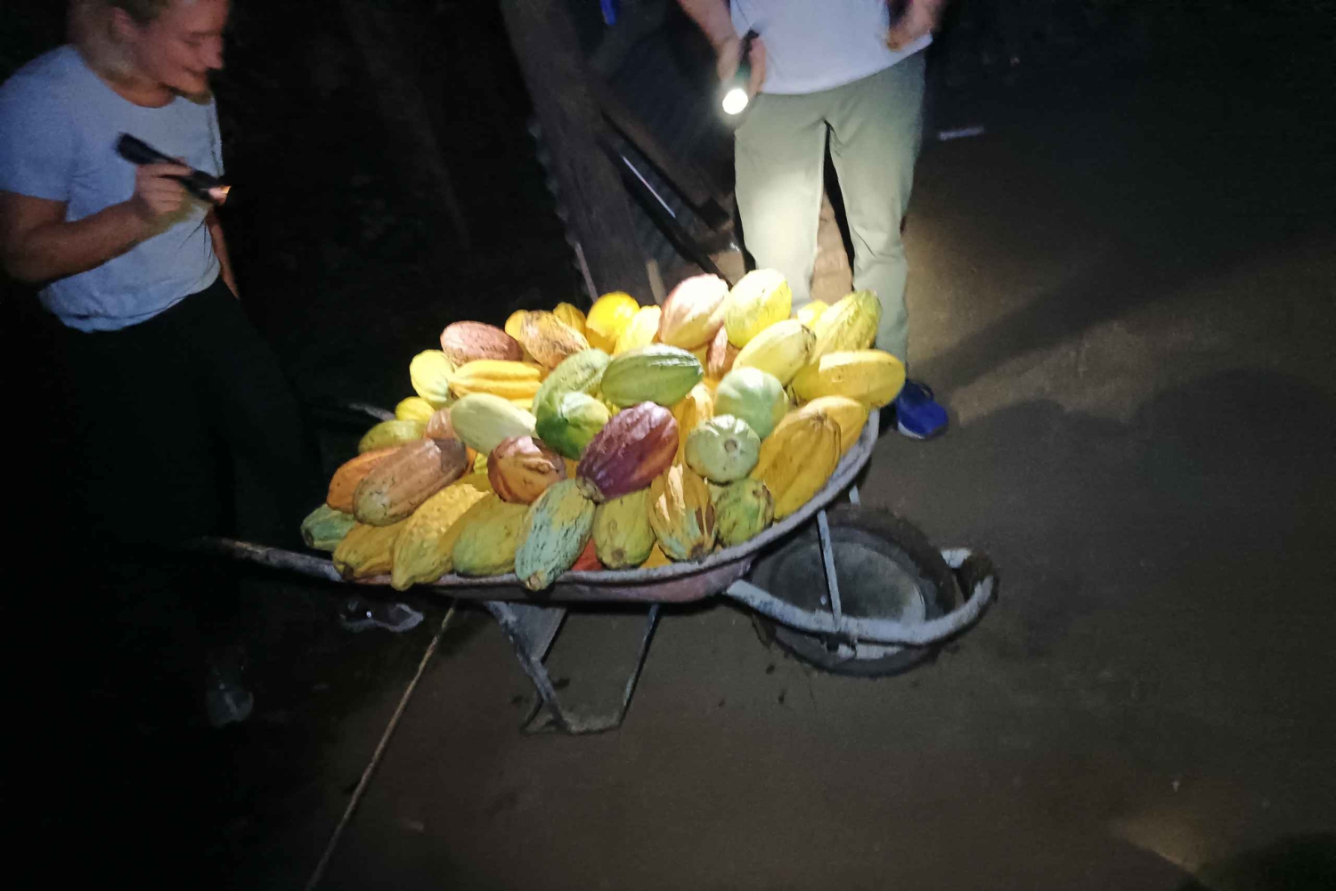 La Fortuna: Rundvisning på kaffe- og chokoladefarm