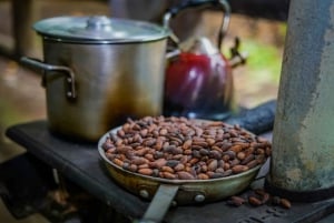 La Fortuna: Rundvisning på kaffe- og chokoladefarm