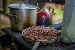 La Fortuna : Visite d'une ferme de café et de chocolat