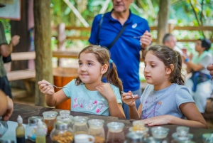 La Fortuna : Visite d'une ferme de café et de chocolat