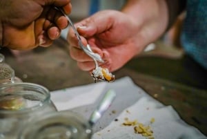 La Fortuna : Visite d'une ferme de café et de chocolat