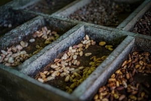 La Fortuna : Visite d'une ferme de café et de chocolat