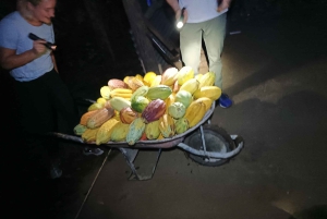 La Fortuna: Rundvisning på kaffe- og chokoladefarm