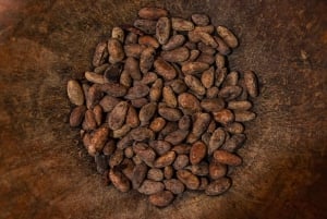 La Fortuna: kahvi-, hunaja- ja suklaakierros