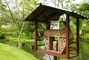 La Fortuna: kahvi-, hunaja- ja suklaakierros