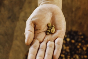La Fortuna: Combined Local Coffee & Chocolate Tour