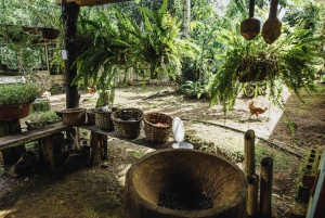 La Fortuna: Combined Local Coffee & Chocolate Tour