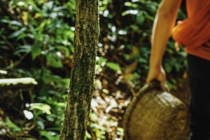 La Fortuna: Combined Local Coffee & Chocolate Tour