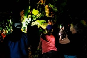 La Fortuna: Matlagingskurs på Costa Rica + middag + nattlig frosketur
