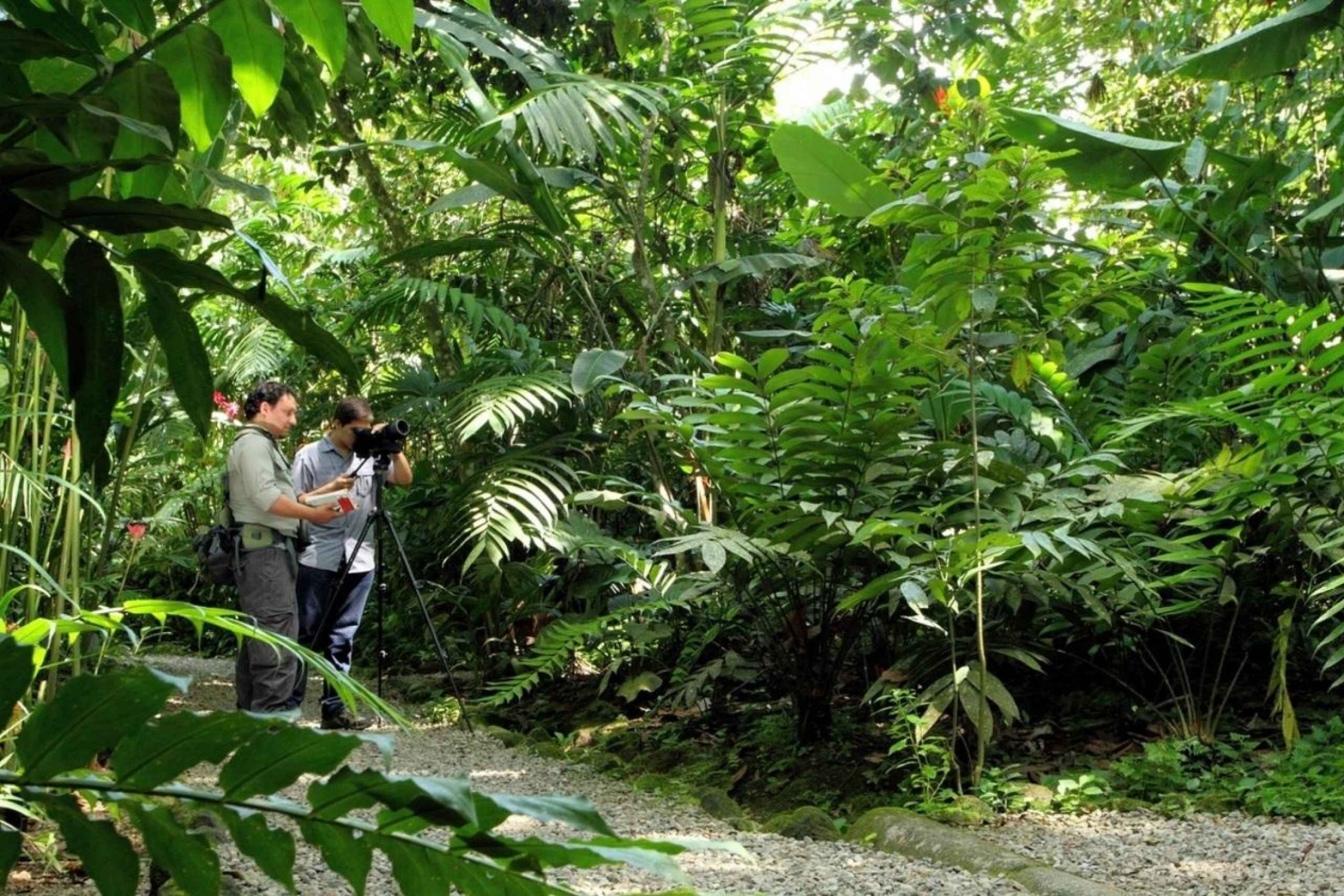 La Fortuna: Danaus Ecological Park and Butterfly Garden Tour