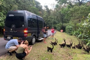 La Fortuna de Arenal: Przeprawa przez jezioro do Monteverde