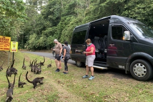 La Fortuna de Arenal: Transfer to Alajuela or SJO Airport