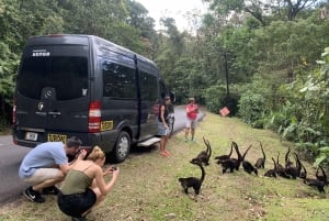 Traslado compartilhado: La Fortuna de Arenal para San José