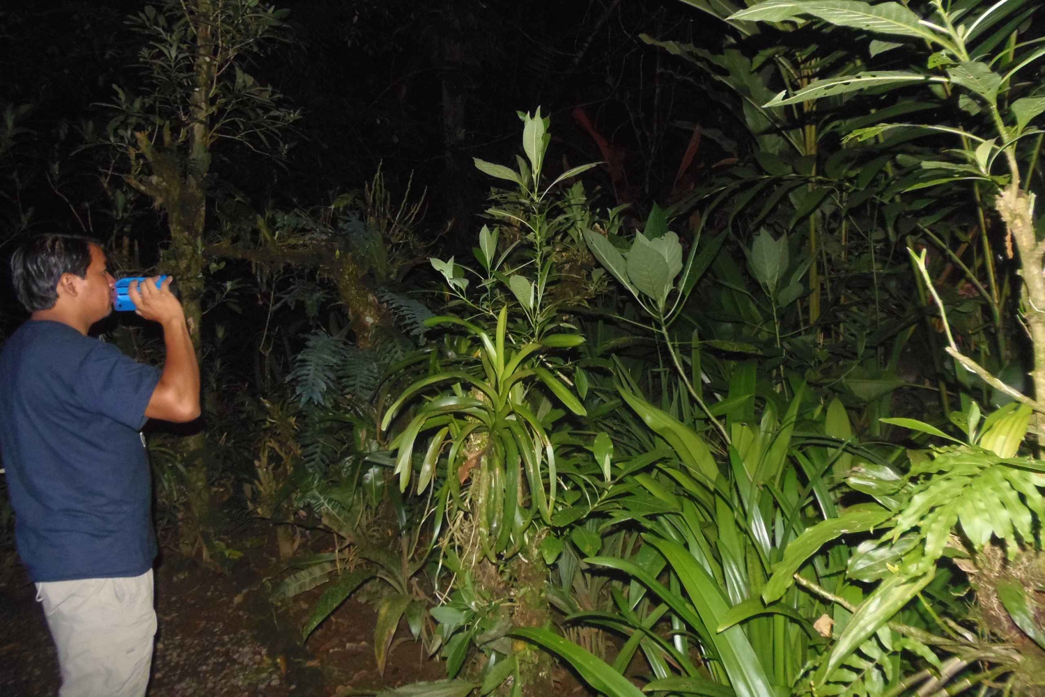 La Fortuna: Expedição Noturna pela Floresta Tropical Ecocentro Danaus