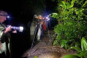 La Fortuna: Expedição Noturna pela Floresta Tropical Ecocentro Danaus