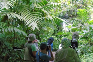 La Fortuna: Expedição Noturna pela Floresta Tropical Ecocentro Danaus