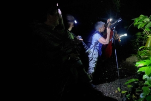 La Fortuna: Expedição Noturna pela Floresta Tropical Ecocentro Danaus