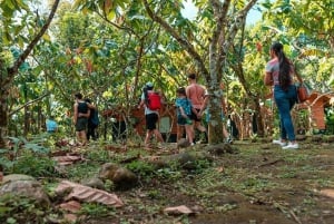 La Fortuna: Eden Chocolate Tour with Lunch